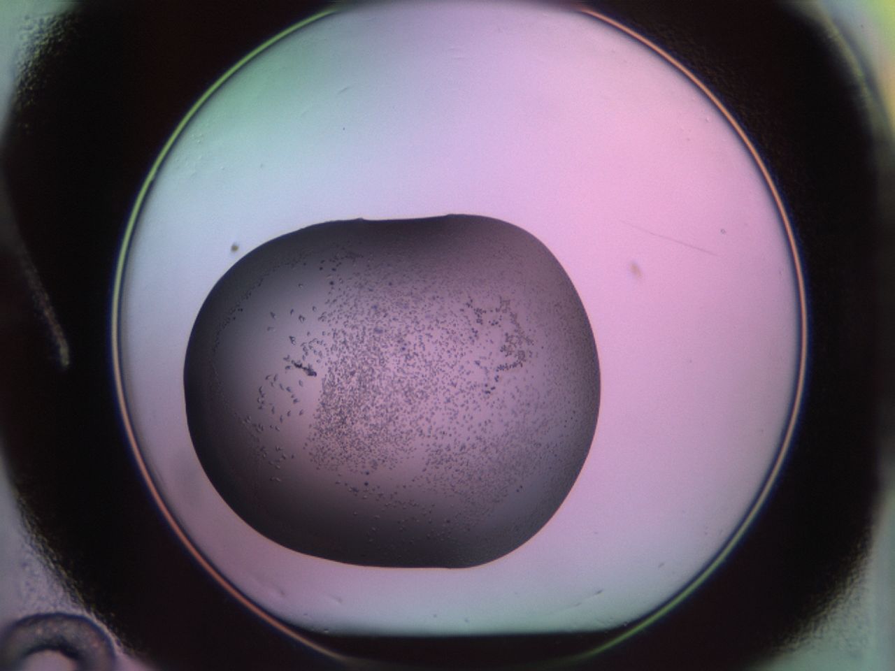 02kn_A12_ImagerDefaults_9.jpg