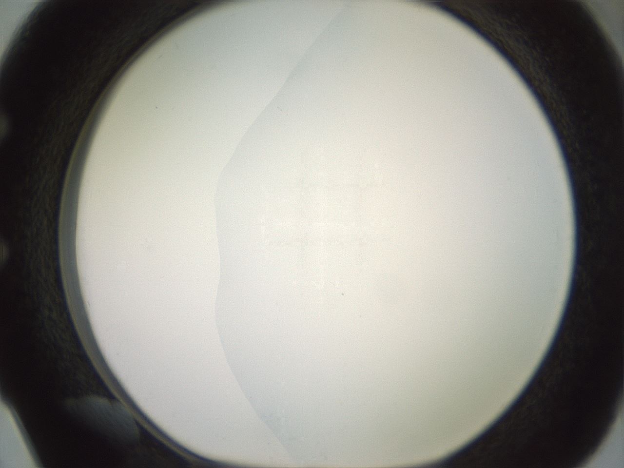 folderID402_plateID2402_batchID11611_wellNum50_profileID1_d1_r177861_ef.jpg