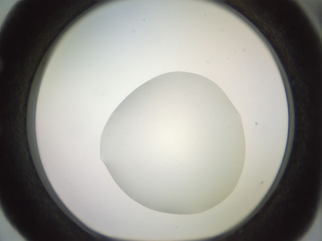 folderID402_plateID2402_batchID11611_wellNum52_profileID1_d1_r177865_ef.jpg
