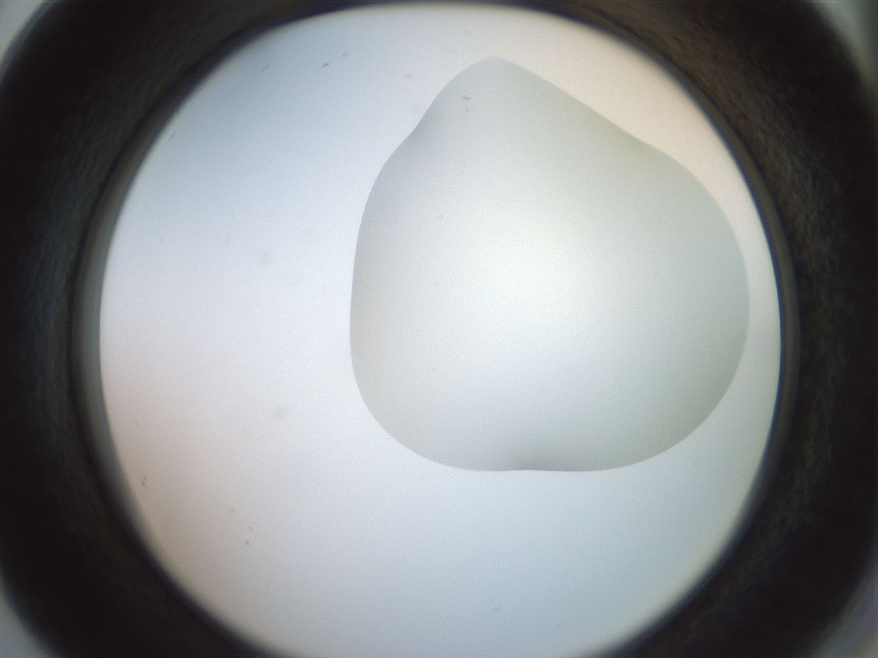 folderID402_plateID2402_batchID11611_wellNum80_profileID1_d2_r177922_ef.jpg