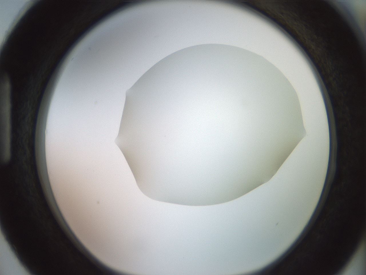 folderID402_plateID2402_batchID11611_wellNum87_profileID1_d1_r177935_ef.jpg