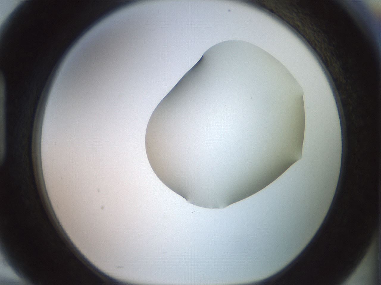 folderID402_plateID2402_batchID11611_wellNum94_profileID1_d1_r177949_ef.jpg