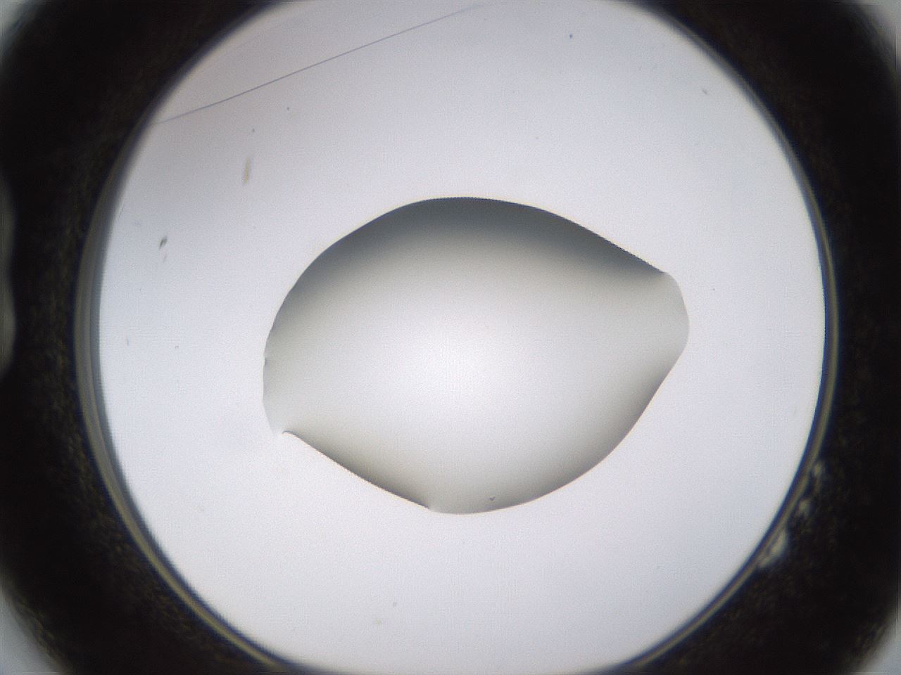 folderID403_plateID1403_batchID5056_wellNum14_profileID1_d1_r85471_ef.jpg