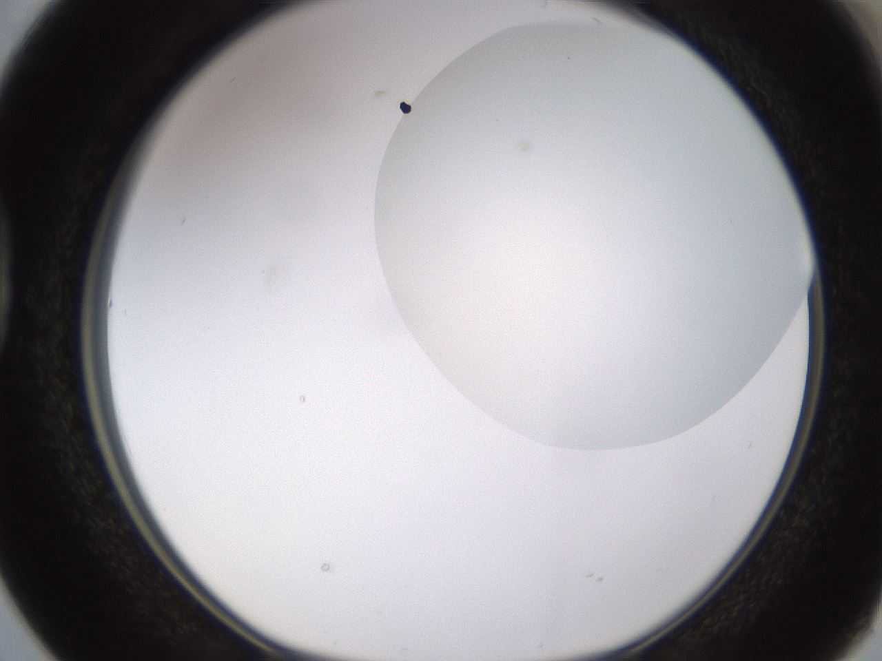folderID403_plateID1403_batchID5056_wellNum38_profileID1_d1_r85495_ef.jpg