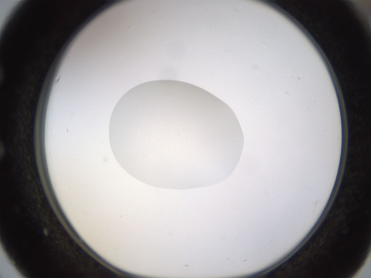 folderID403_plateID1403_batchID5056_wellNum51_profileID1_d1_r85508_ef.jpg