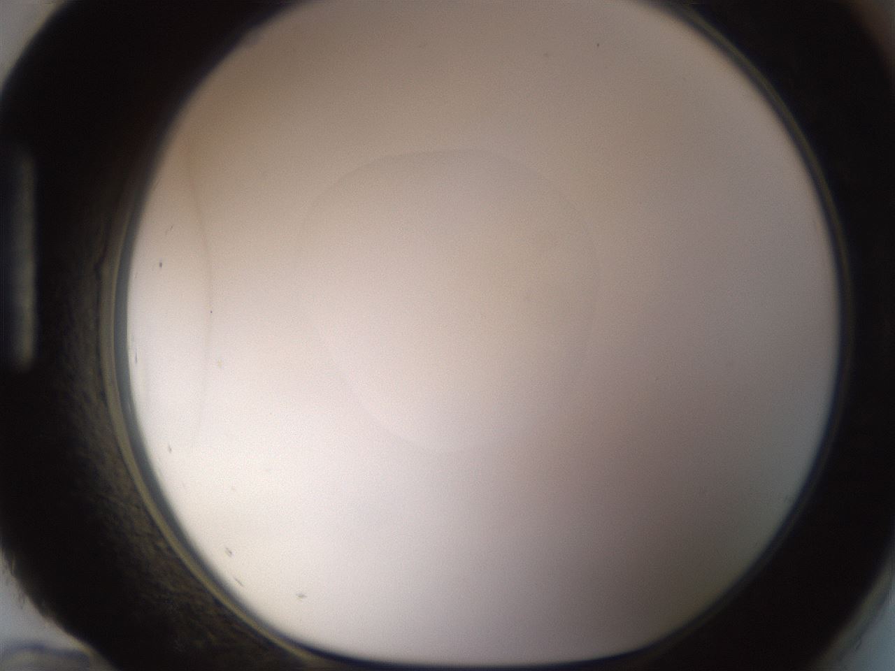 folderID403_plateID1403_batchID5056_wellNum96_profileID1_d1_r85553_ef.jpg