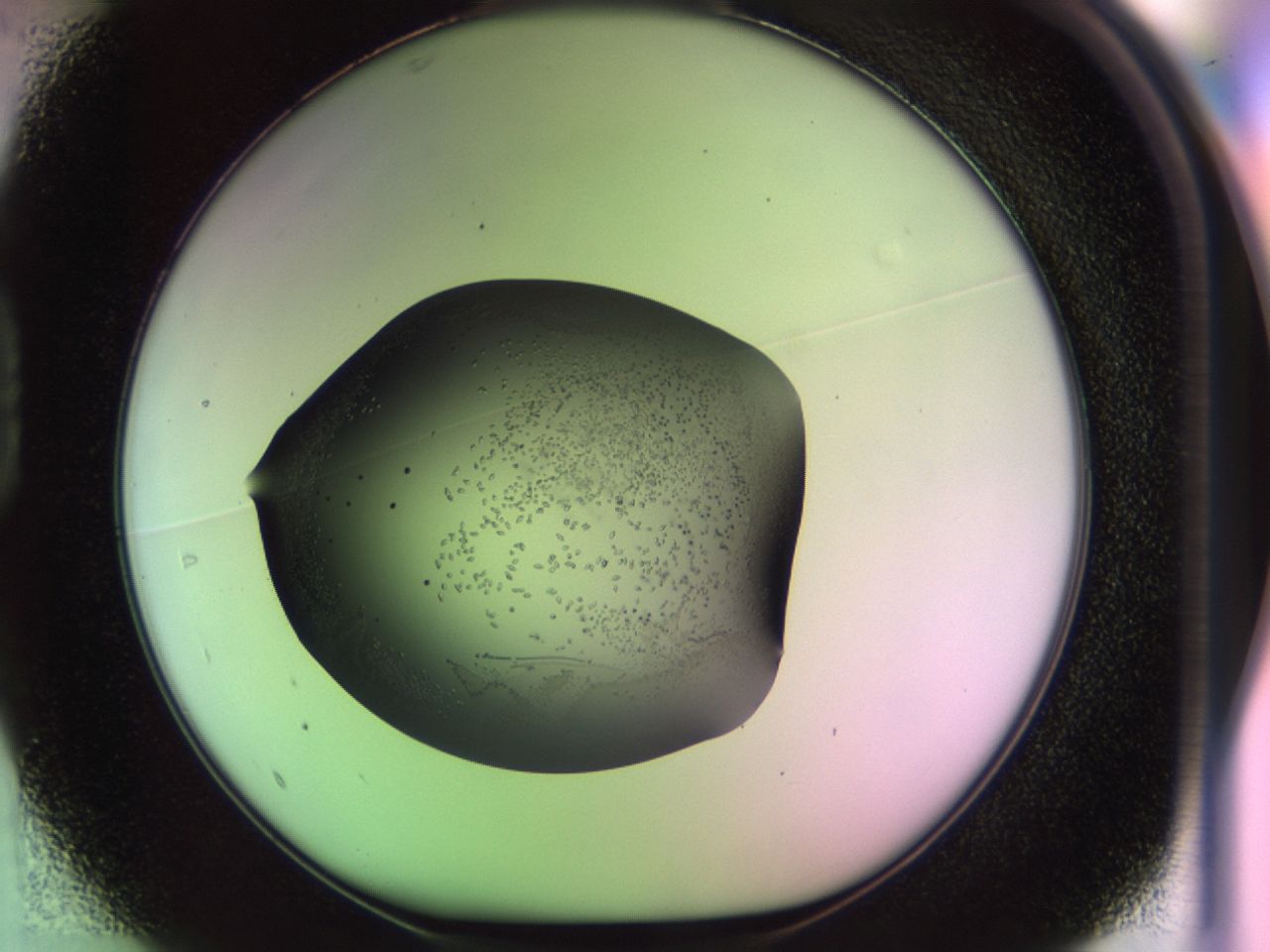 02ku_D1_ImagerDefaults_6.jpg