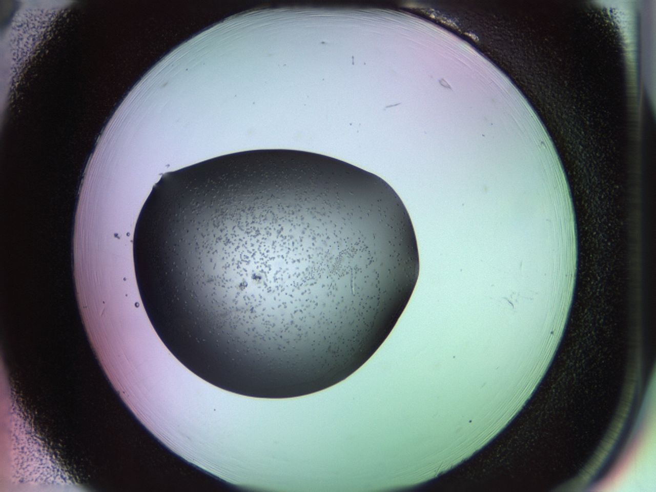 02ku_B6_ImagerDefaults_6.jpg