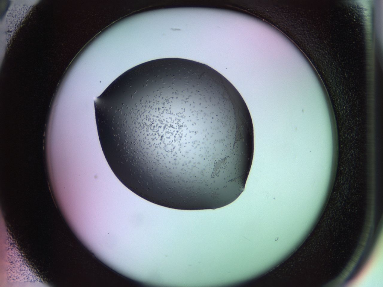 02ku_B5_ImagerDefaults_9.jpg
