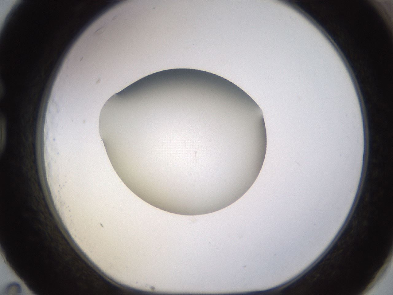 folderID404_plateID1404_batchID5059_wellNum83_profileID1_d1_r85828_ef.jpg