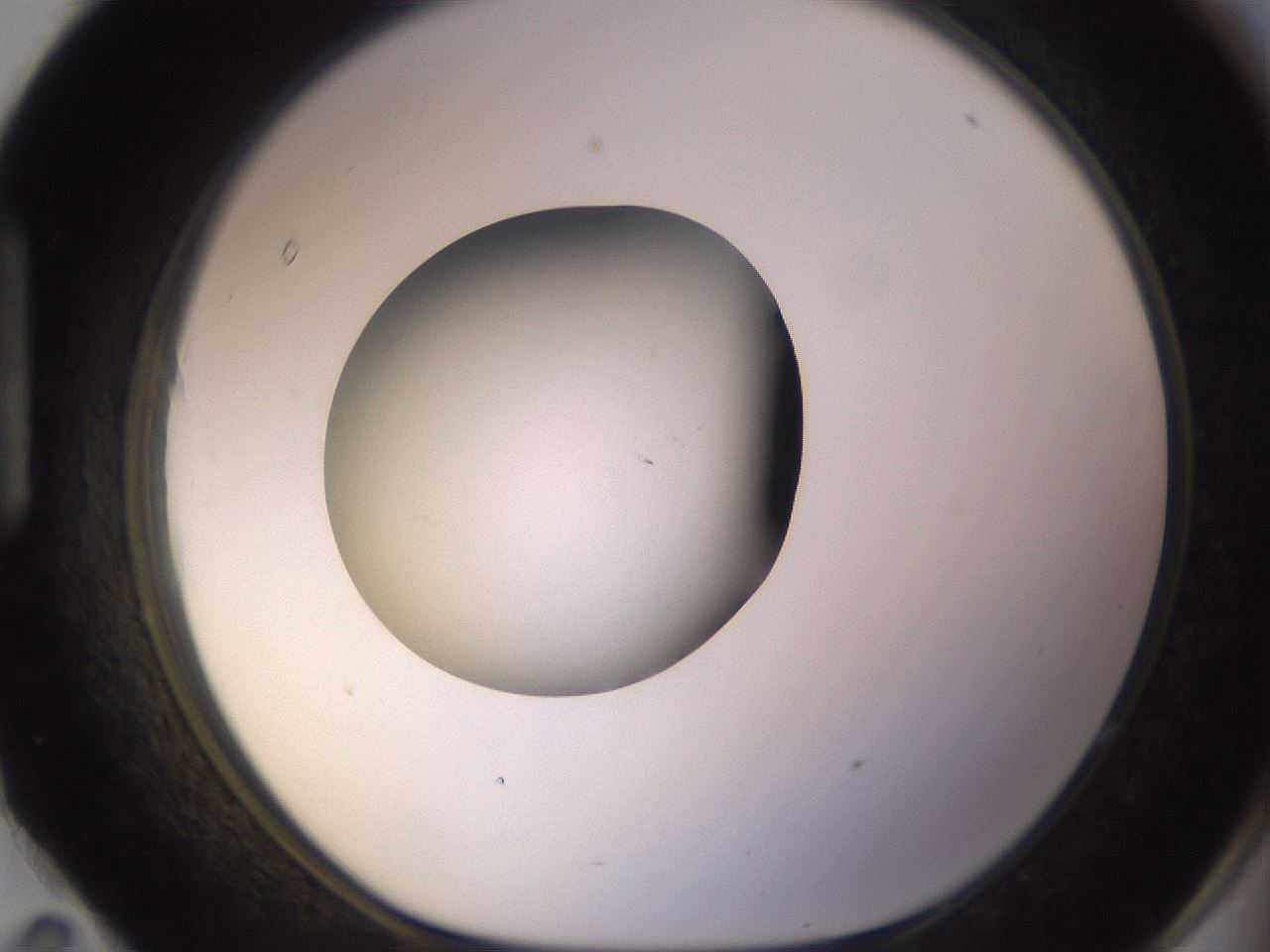 folderID404_plateID1404_batchID5059_wellNum95_profileID1_d1_r85840_ef.jpg