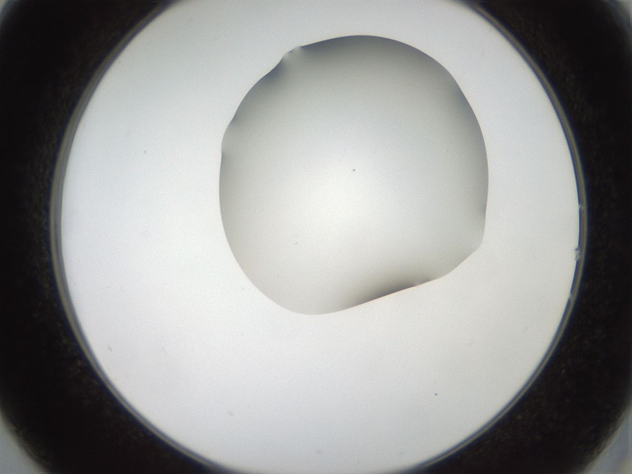 folderID404_plateID2404_batchID11612_wellNum14_profileID1_d2_r177982_ef.jpg