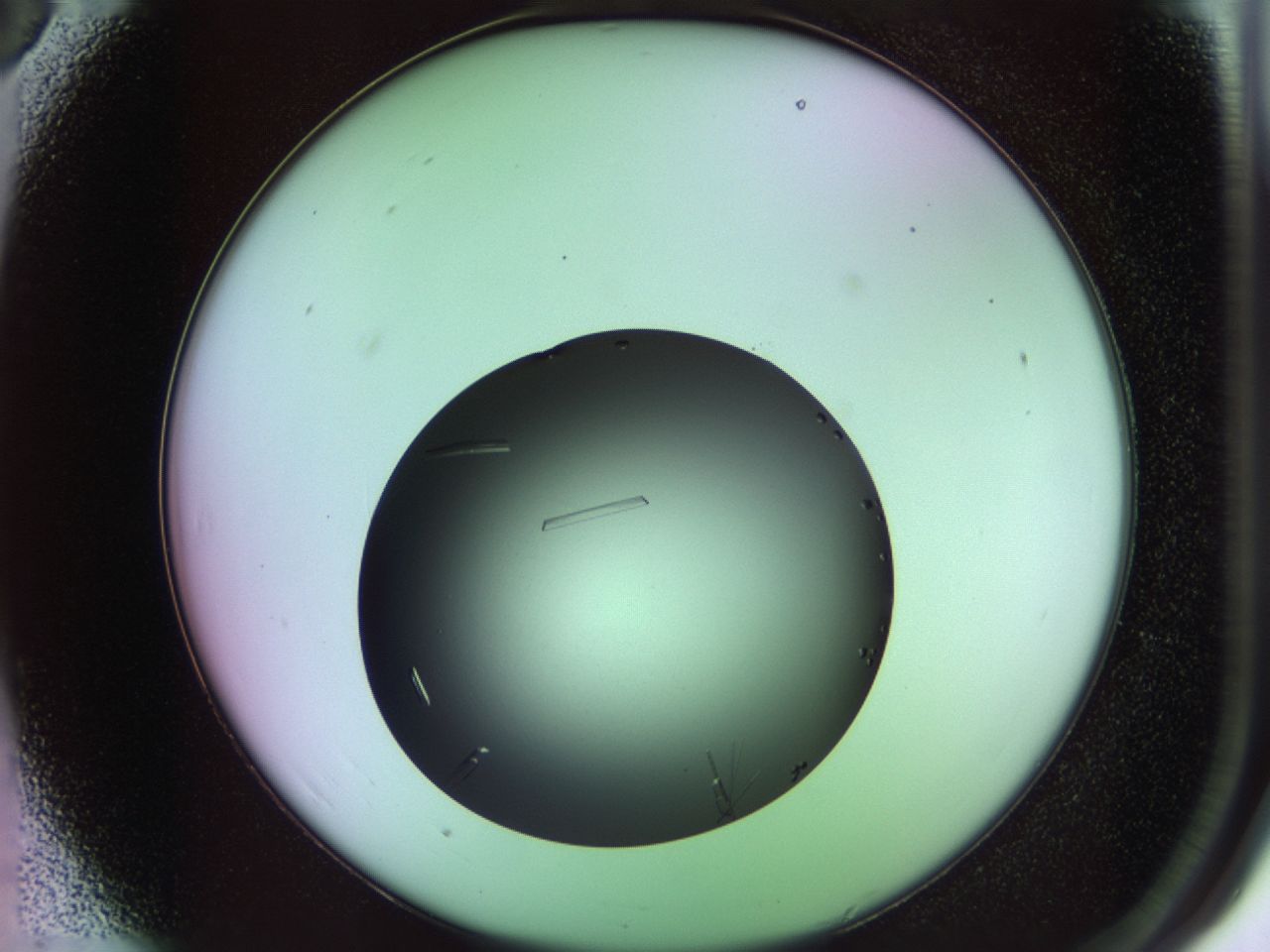 02ku_A3_ImagerDefaults_9.jpg