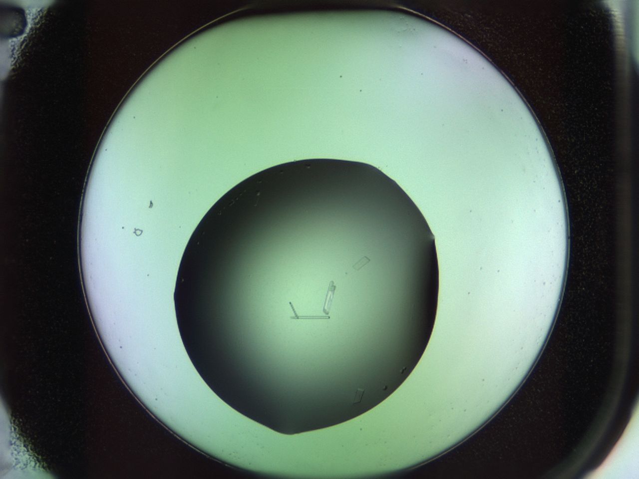 02ku_A2_ImagerDefaults_9.jpg