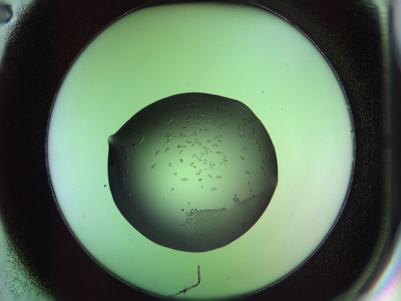 02ku_B2_ImagerDefaults_9.jpg