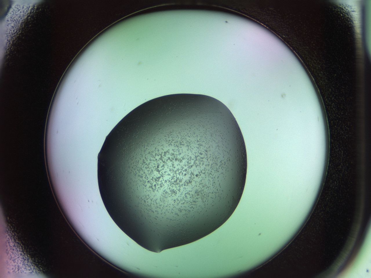 02ku_A8_ImagerDefaults_6.jpg