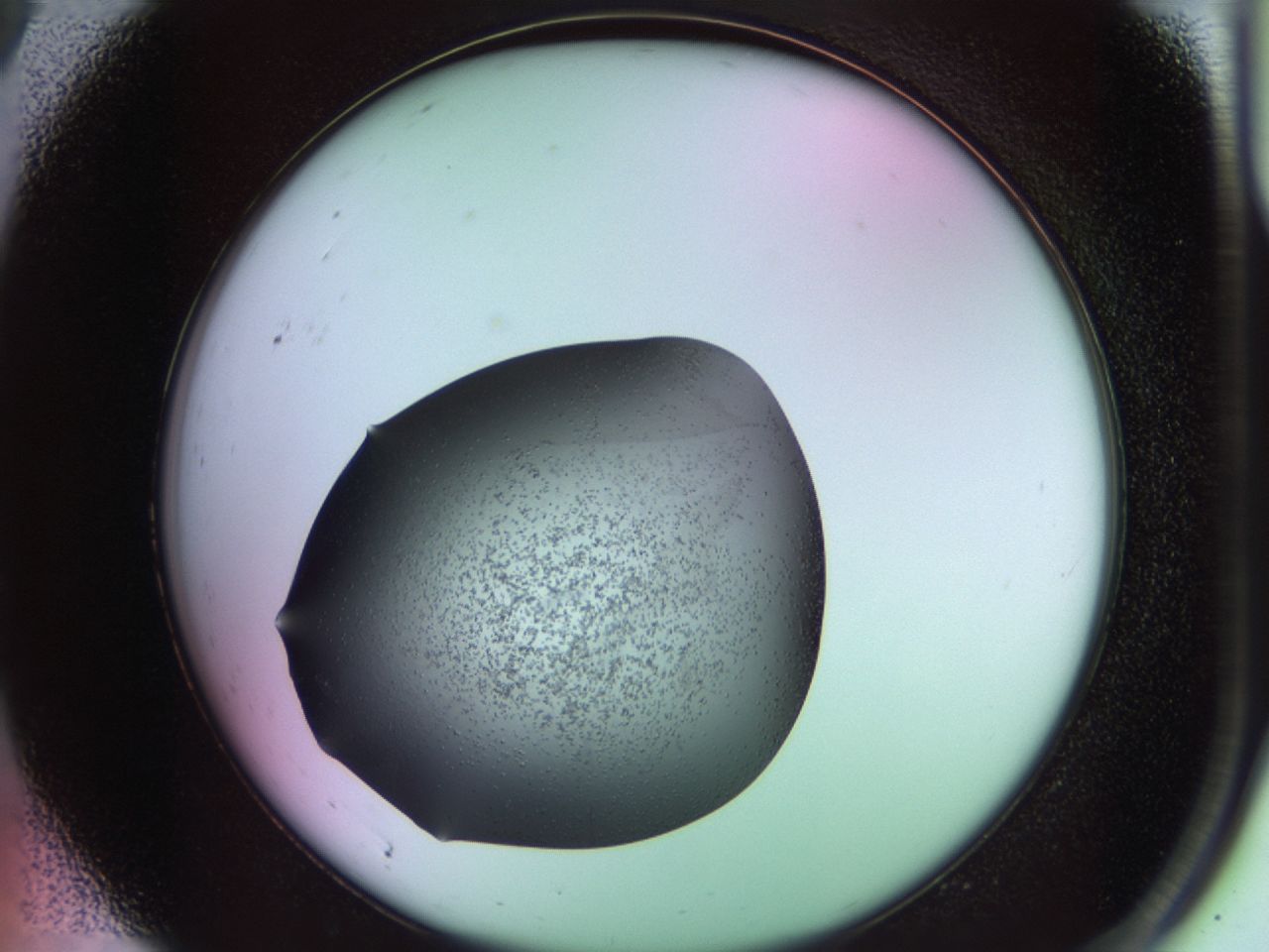 02ku_A9_ImagerDefaults_6.jpg