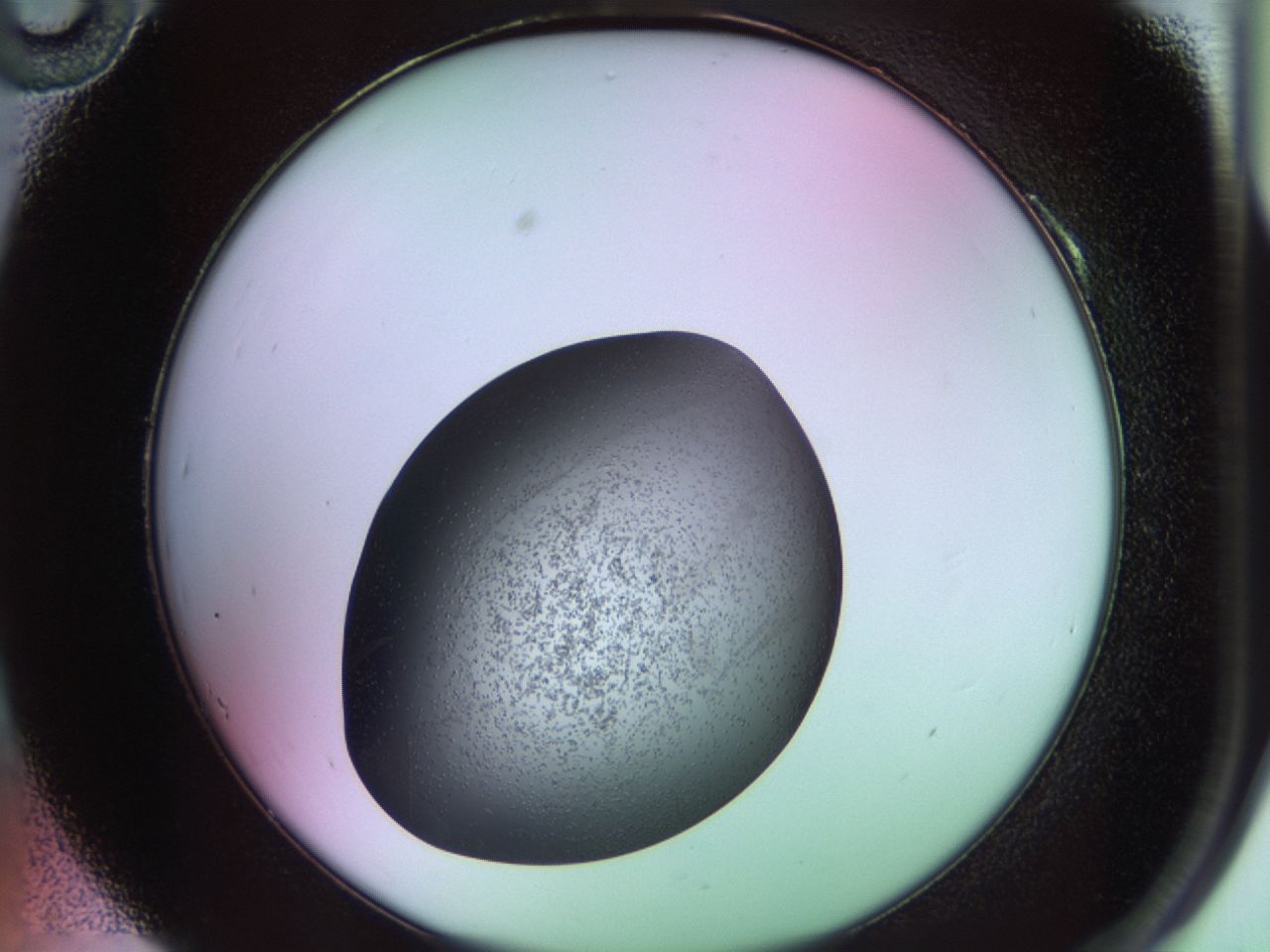 02ku_A10_ImagerDefaults_6.jpg