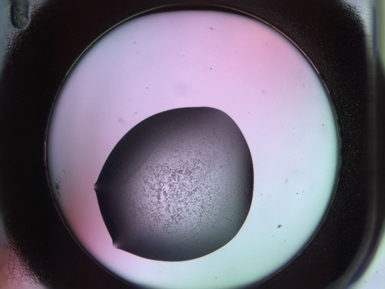 02ku_A11_ImagerDefaults_6.jpg