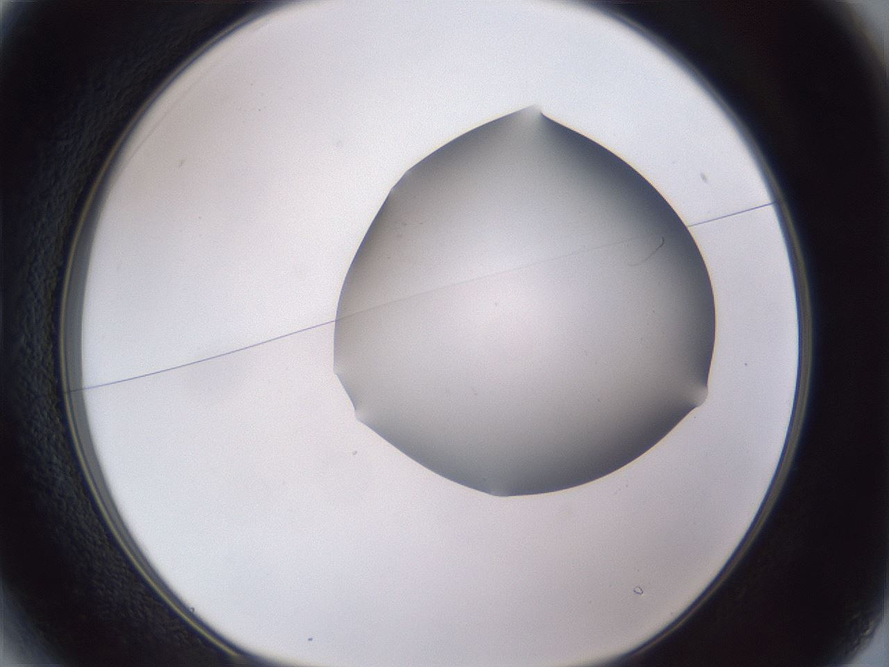folderID405_plateID2405_batchID11613_wellNum13_profileID1_d1_r178171_ef.jpg