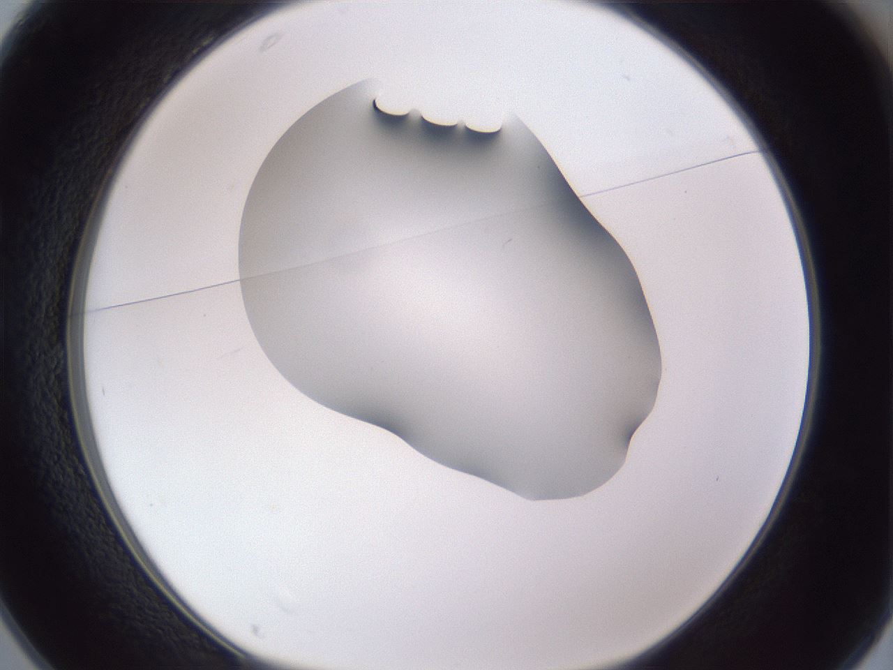 folderID405_plateID2405_batchID11613_wellNum25_profileID1_d1_r178195_ef.jpg