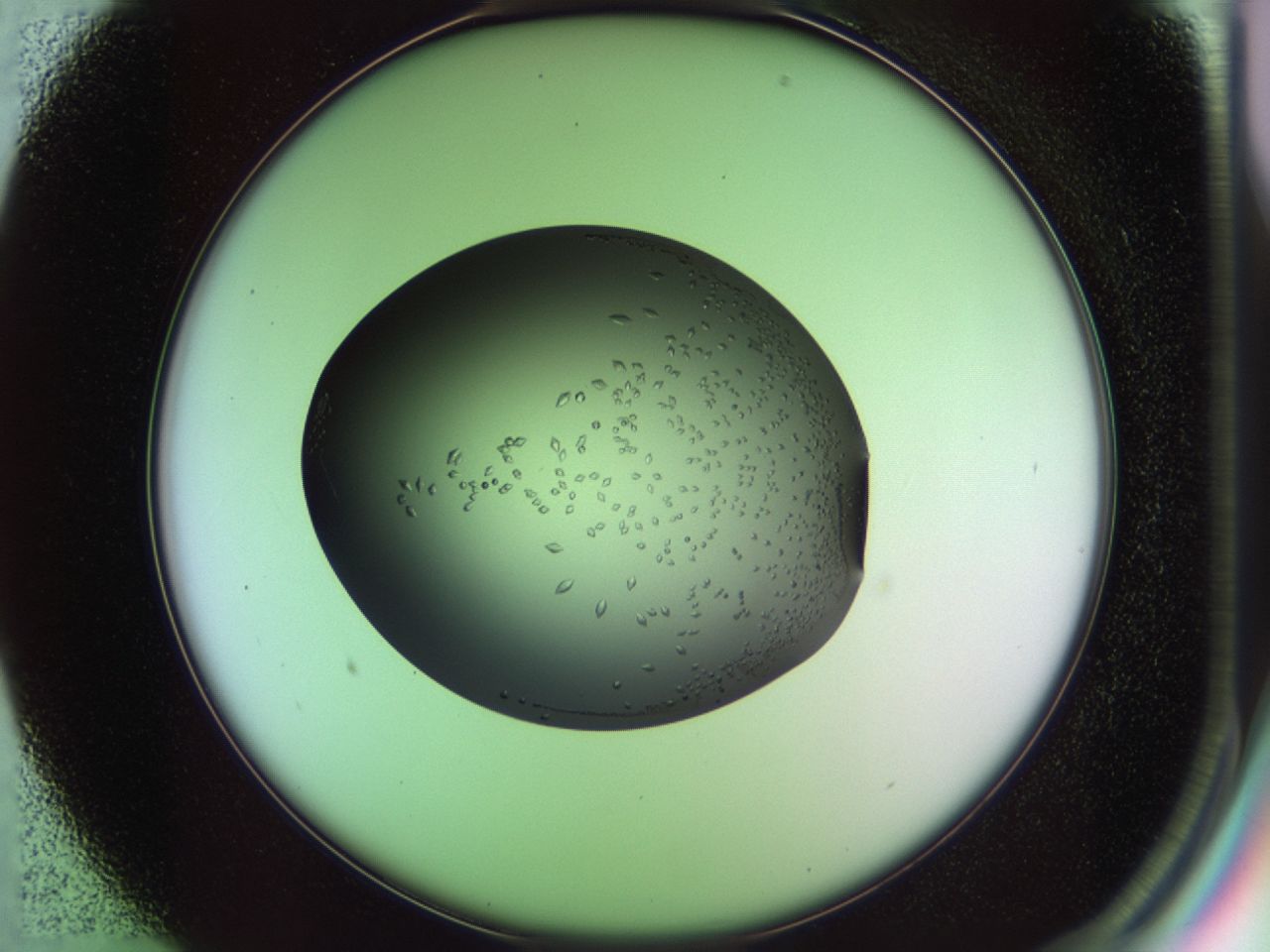 02ku_B1_ImagerDefaults_9.jpg