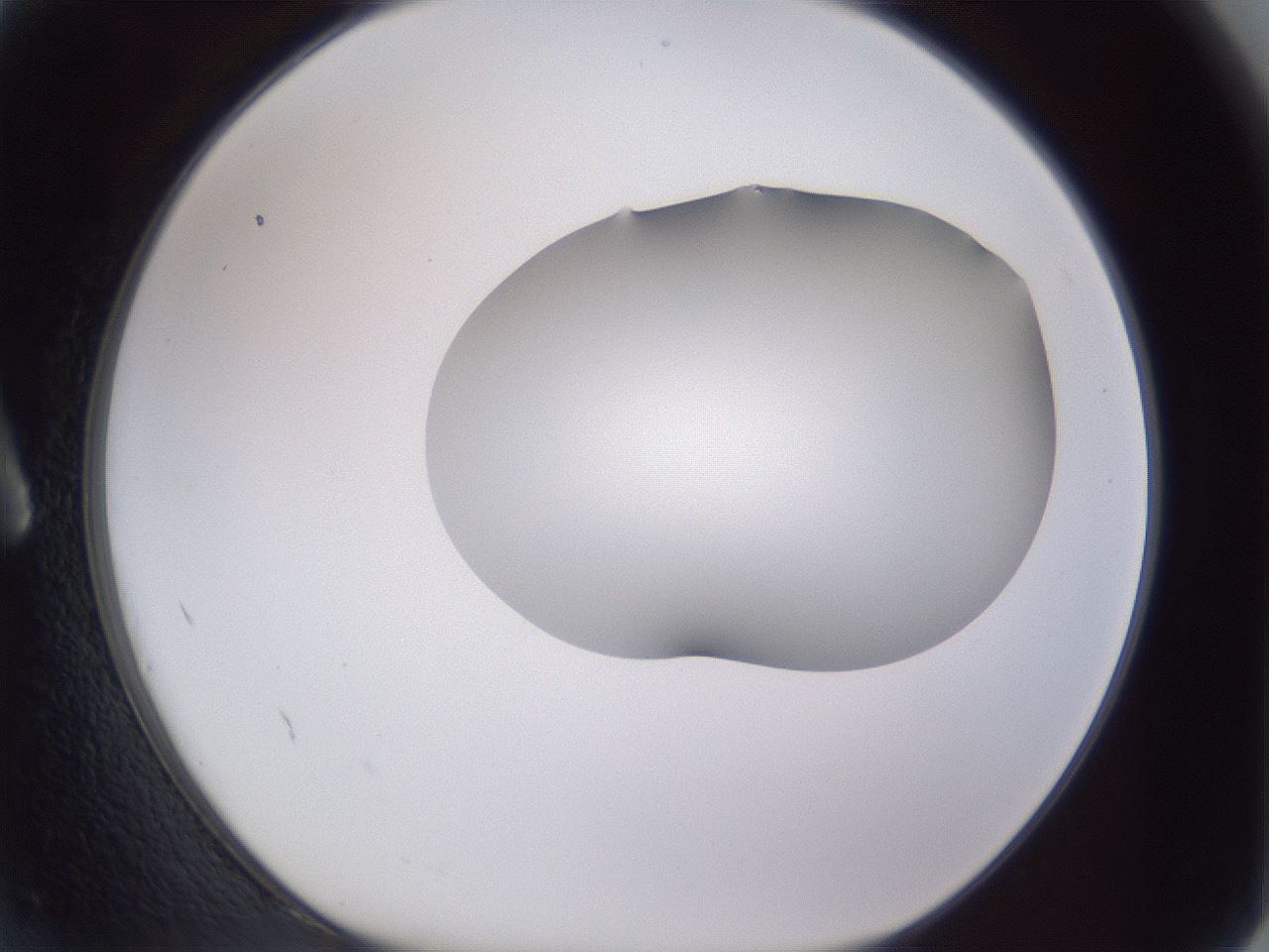 folderID405_plateID2405_batchID11613_wellNum2_profileID1_d1_r178149_ef.jpg