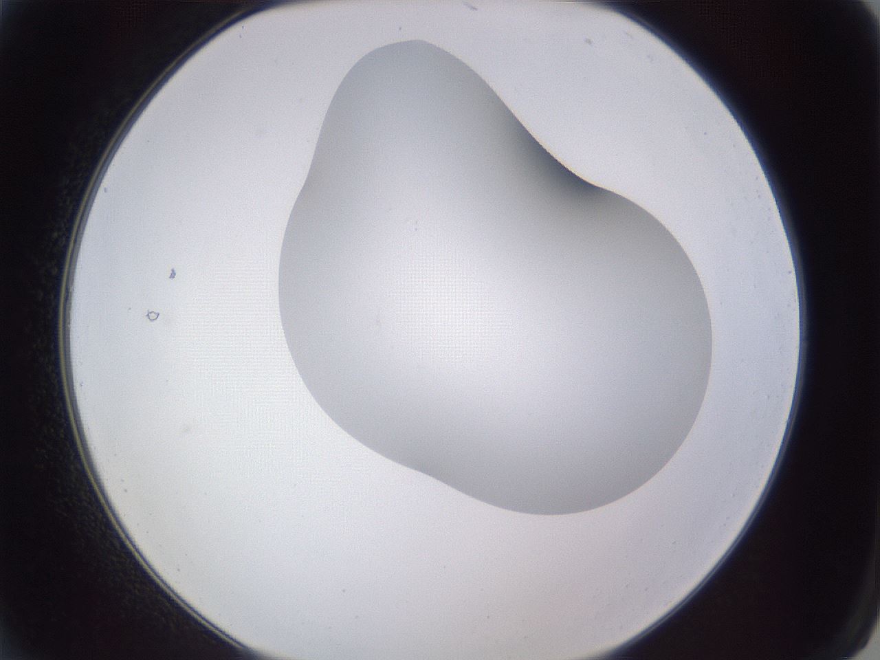 folderID405_plateID2405_batchID11613_wellNum2_profileID1_d2_r178150_ef.jpg