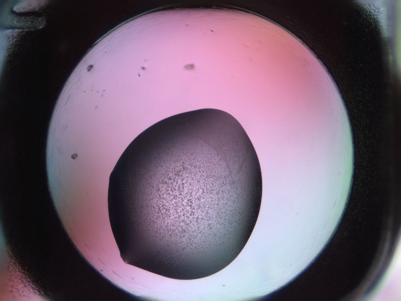 02ku_A12_ImagerDefaults_6.jpg