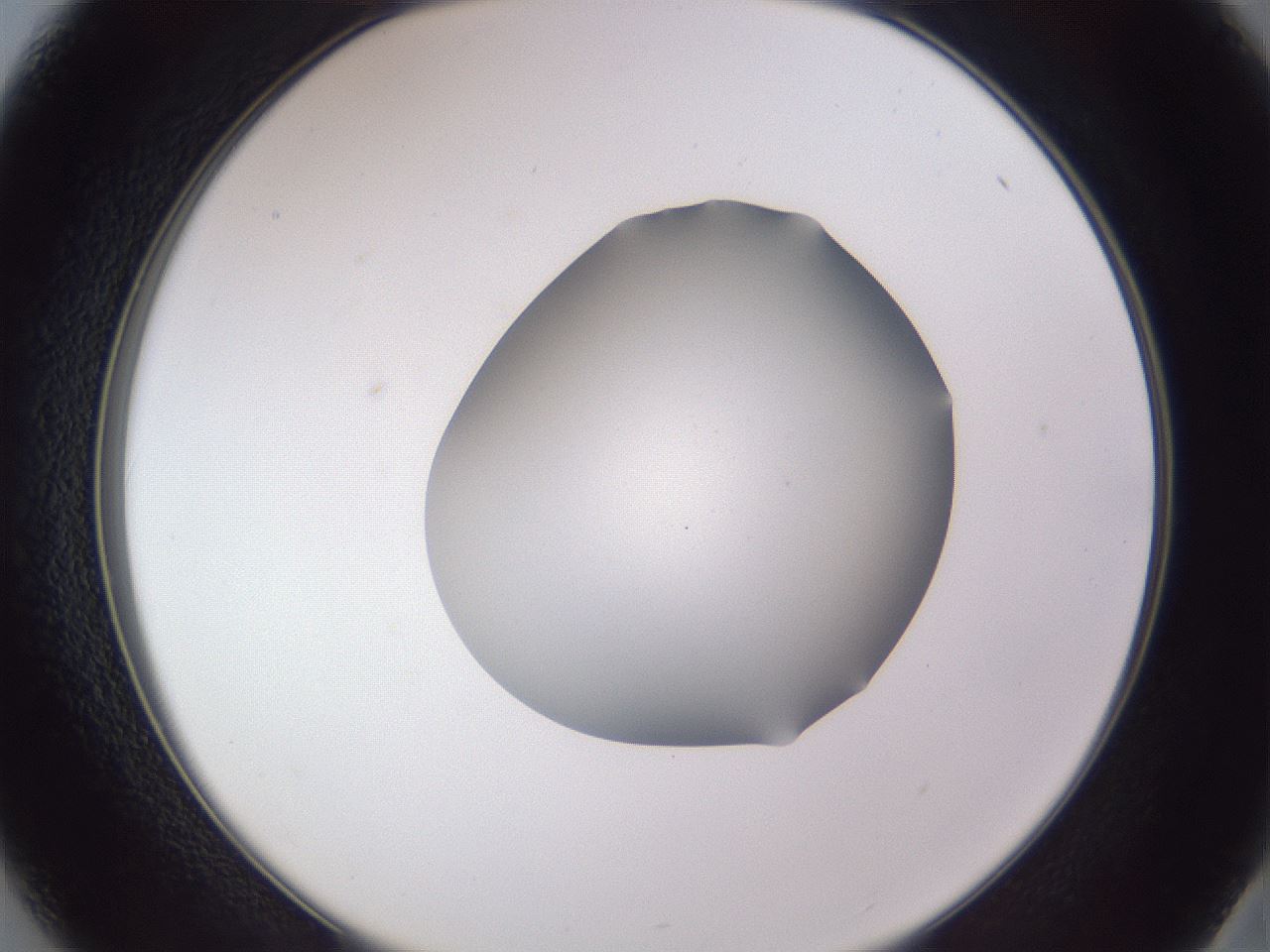 folderID405_plateID2405_batchID11613_wellNum37_profileID1_d2_r178220_ef.jpg