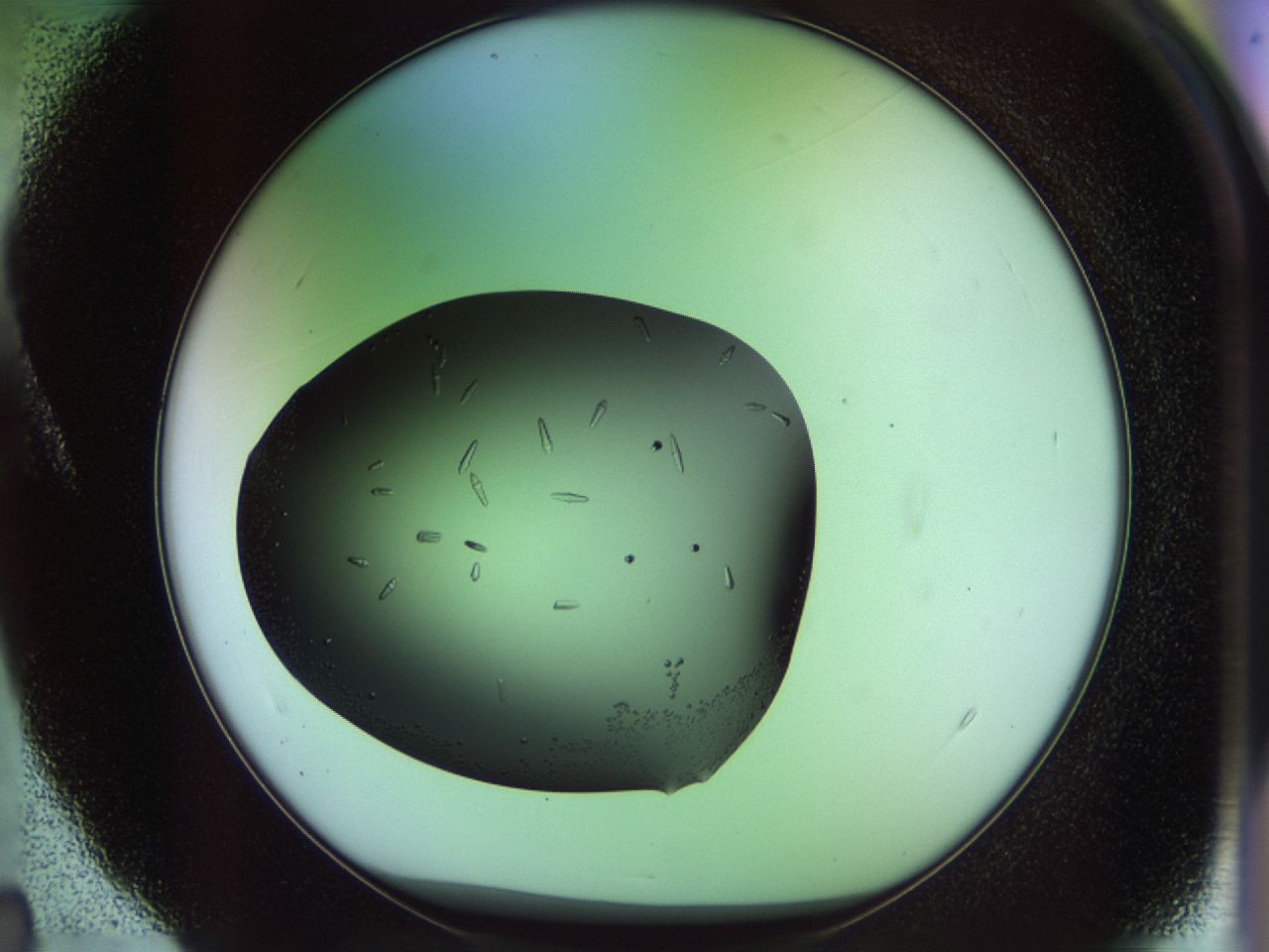 02ku_A4_ImagerDefaults_9.jpg