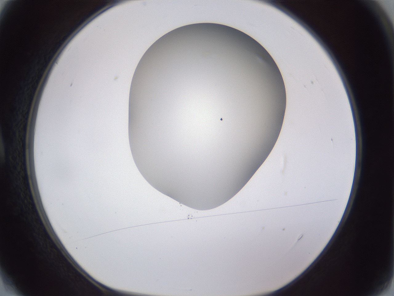 folderID405_plateID2405_batchID11613_wellNum4_profileID1_d1_r178153_ef.jpg