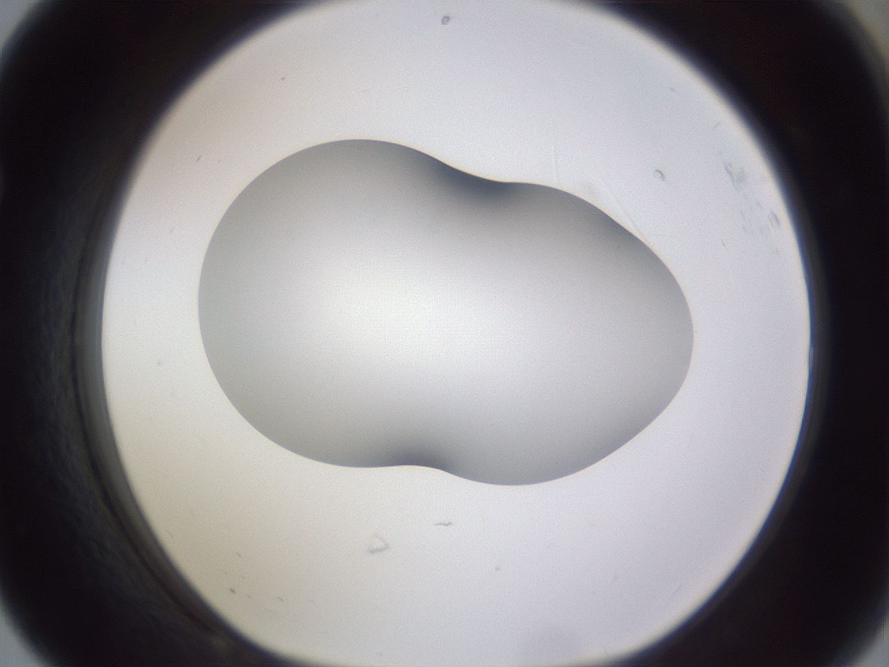 folderID405_plateID2405_batchID11613_wellNum68_profileID1_d1_r178281_ef.jpg