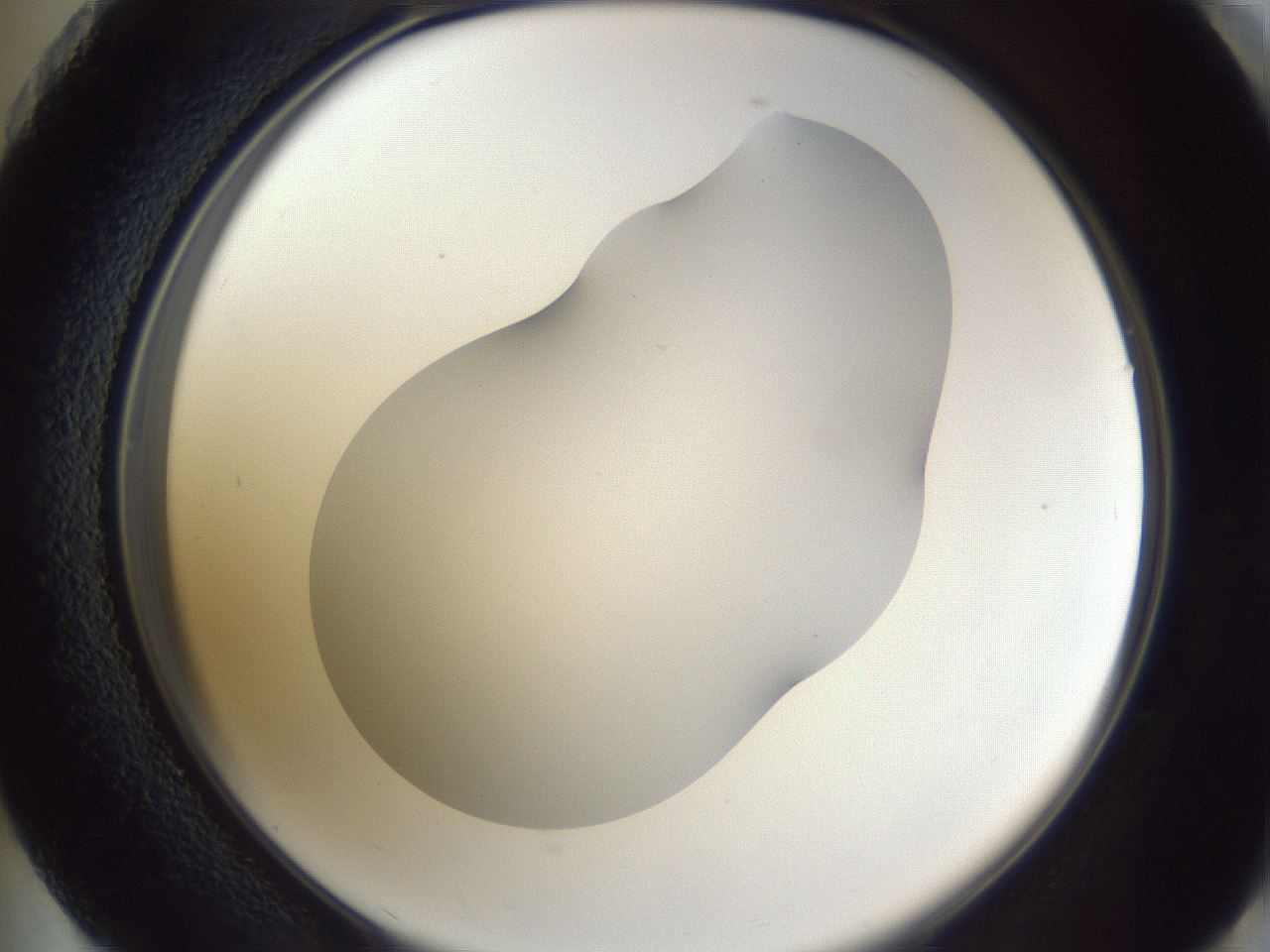 folderID405_plateID2405_batchID11613_wellNum73_profileID1_d2_r178292_ef.jpg