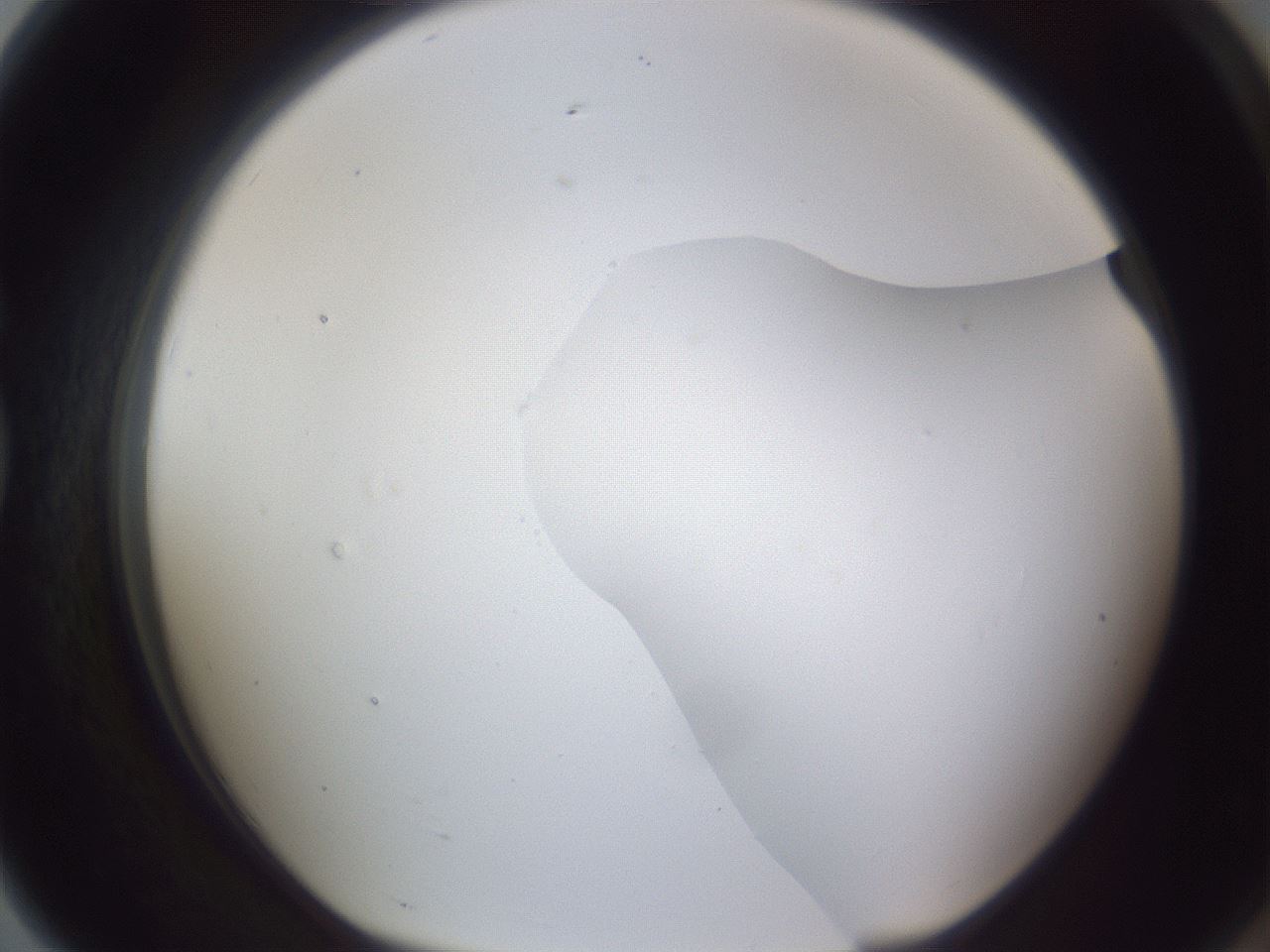 folderID405_plateID2405_batchID11613_wellNum79_profileID1_d1_r178303_ef.jpg