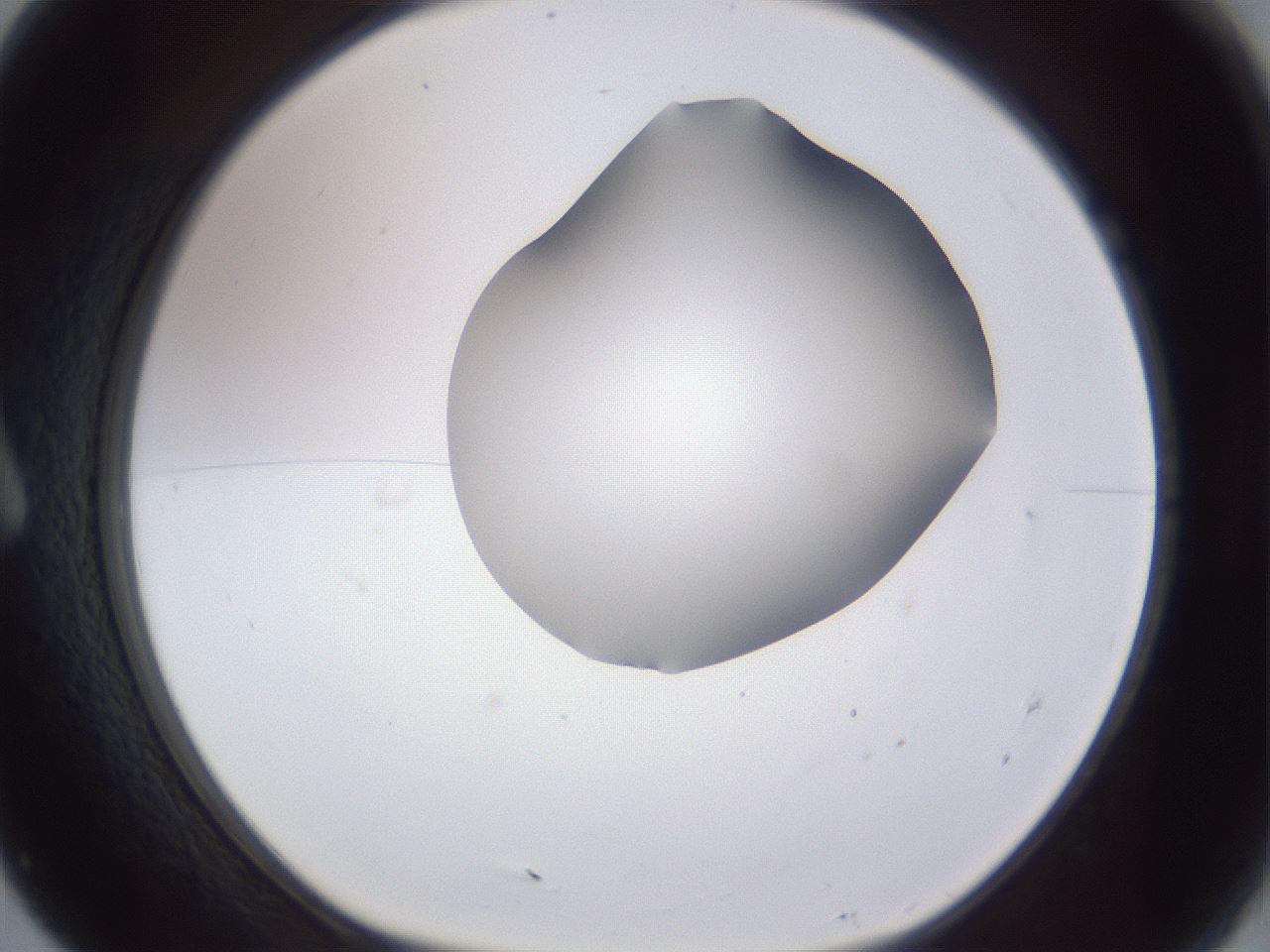 folderID405_plateID2405_batchID11613_wellNum7_profileID1_d1_r178159_ef.jpg