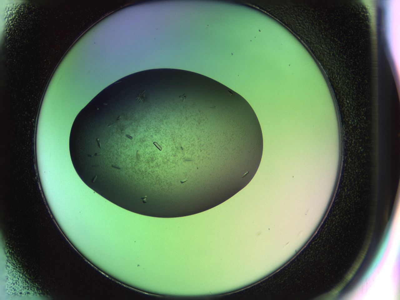 02ku_E1_ImagerDefaults_9.jpg