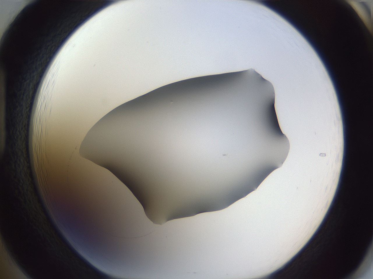 folderID405_plateID2405_batchID11613_wellNum85_profileID1_d1_r178315_ef.jpg