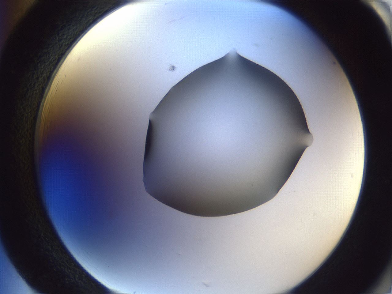 folderID405_plateID2405_batchID11613_wellNum85_profileID1_d2_r178316_ef.jpg
