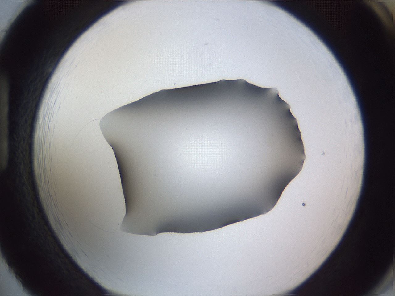 folderID405_plateID2405_batchID11613_wellNum86_profileID1_d1_r178317_ef.jpg
