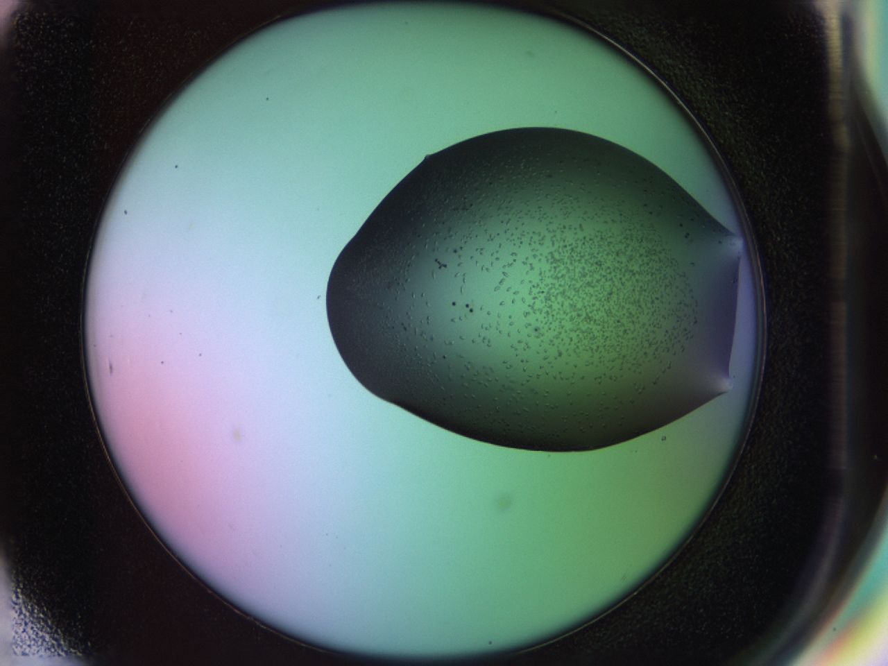 02ku_G7_ImagerDefaults_9.jpg