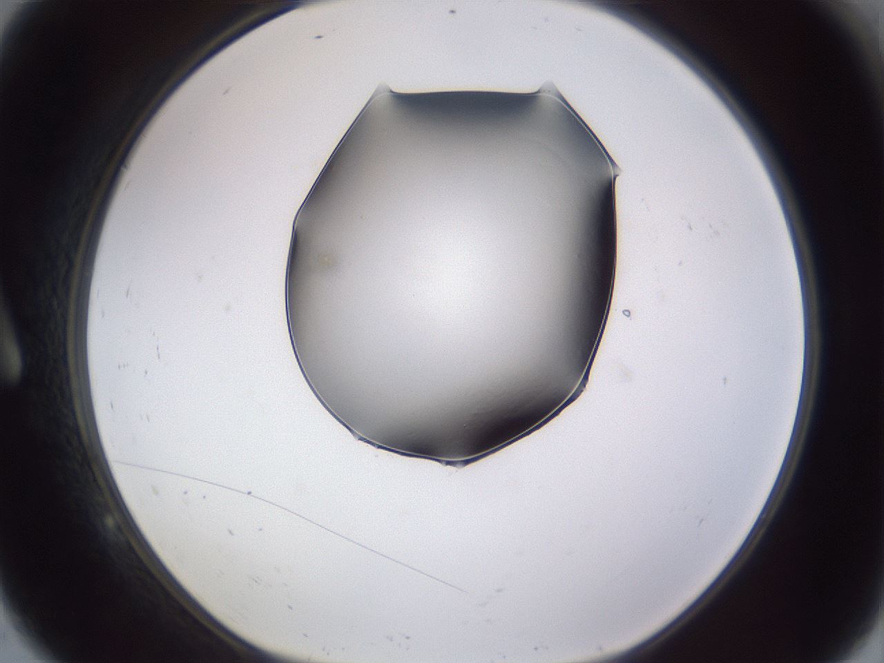 folderID405_plateID2405_batchID11613_wellNum9_profileID1_d1_r178163_ef.jpg