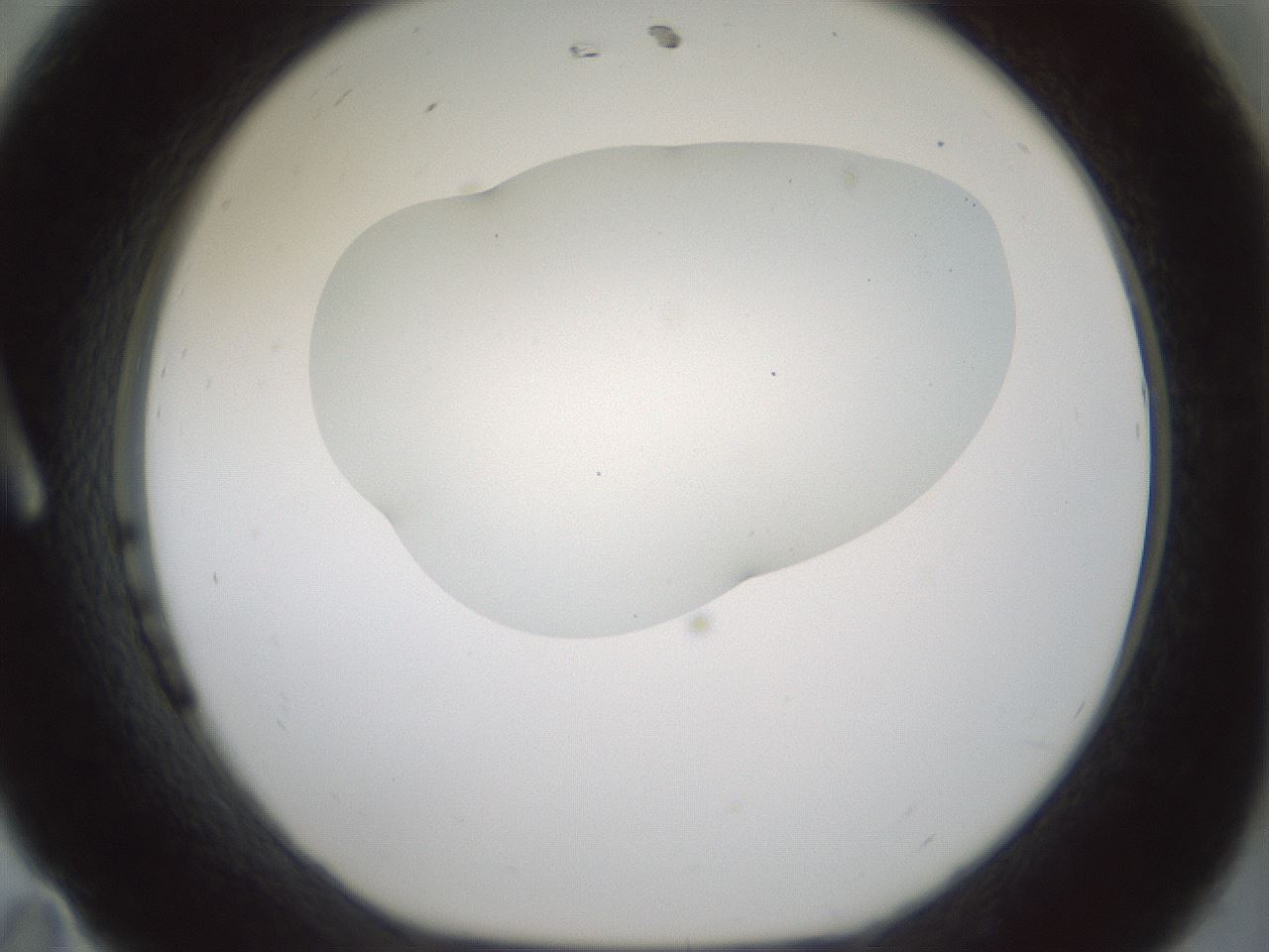 folderID406_plateID1406_batchID5148_wellNum11_profileID1_d1_r85948_ef.jpg