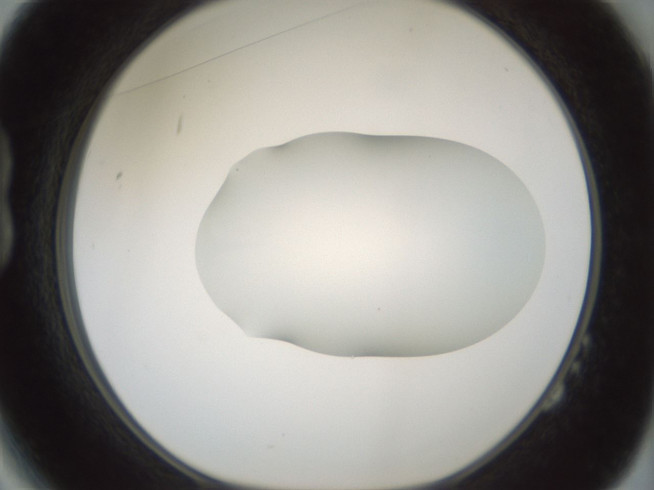 folderID406_plateID1406_batchID5148_wellNum14_profileID1_d1_r85951_ef.jpg