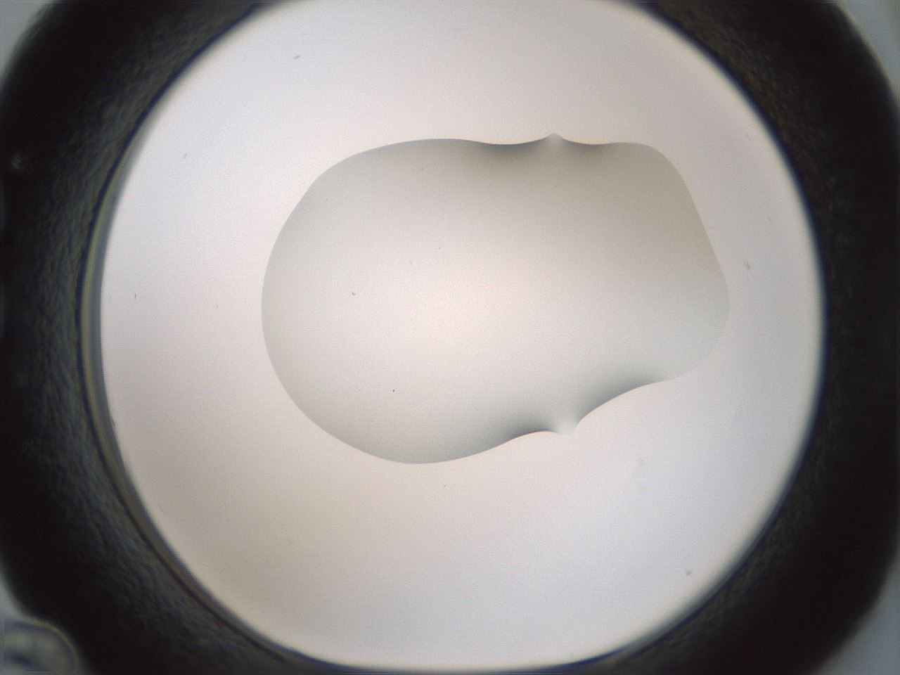 folderID406_plateID1406_batchID5148_wellNum36_profileID1_d1_r85973_ef.jpg