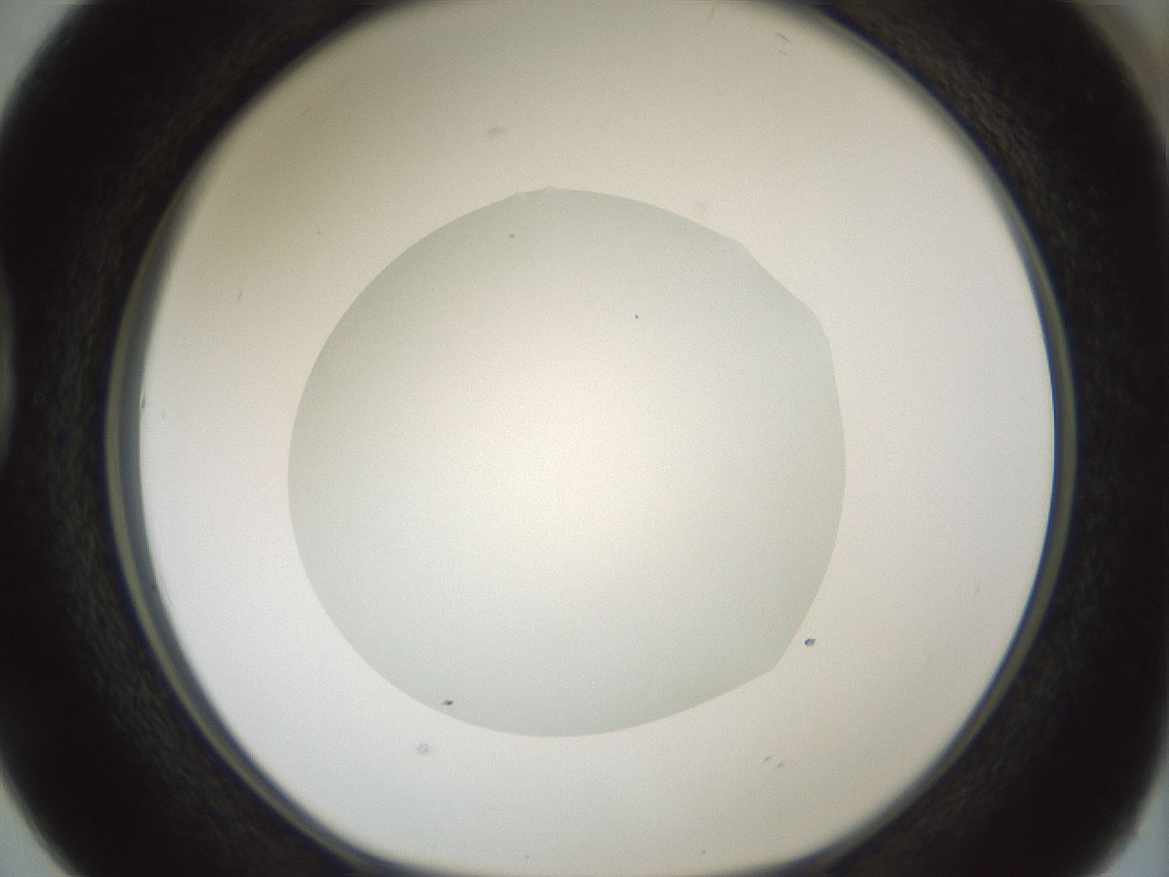folderID406_plateID1406_batchID5148_wellNum38_profileID1_d1_r85975_ef.jpg