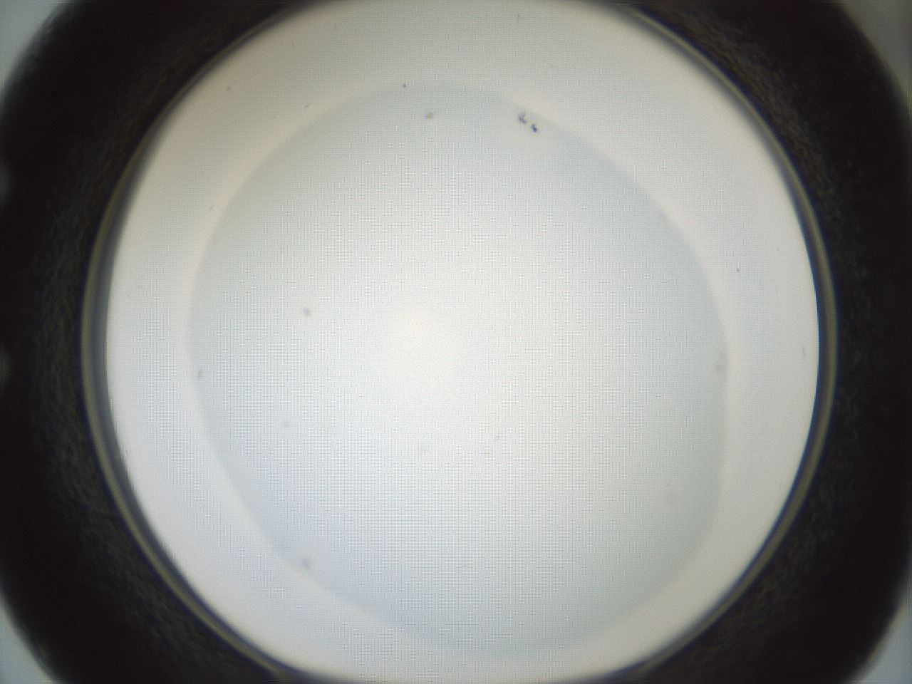 folderID406_plateID1406_batchID5148_wellNum50_profileID1_d1_r85987_ef.jpg