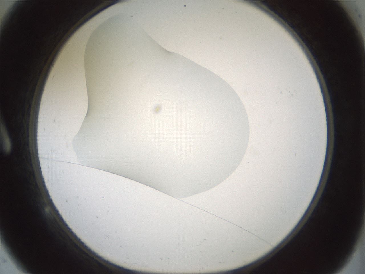 folderID406_plateID1406_batchID5148_wellNum9_profileID1_d1_r85946_ef.jpg
