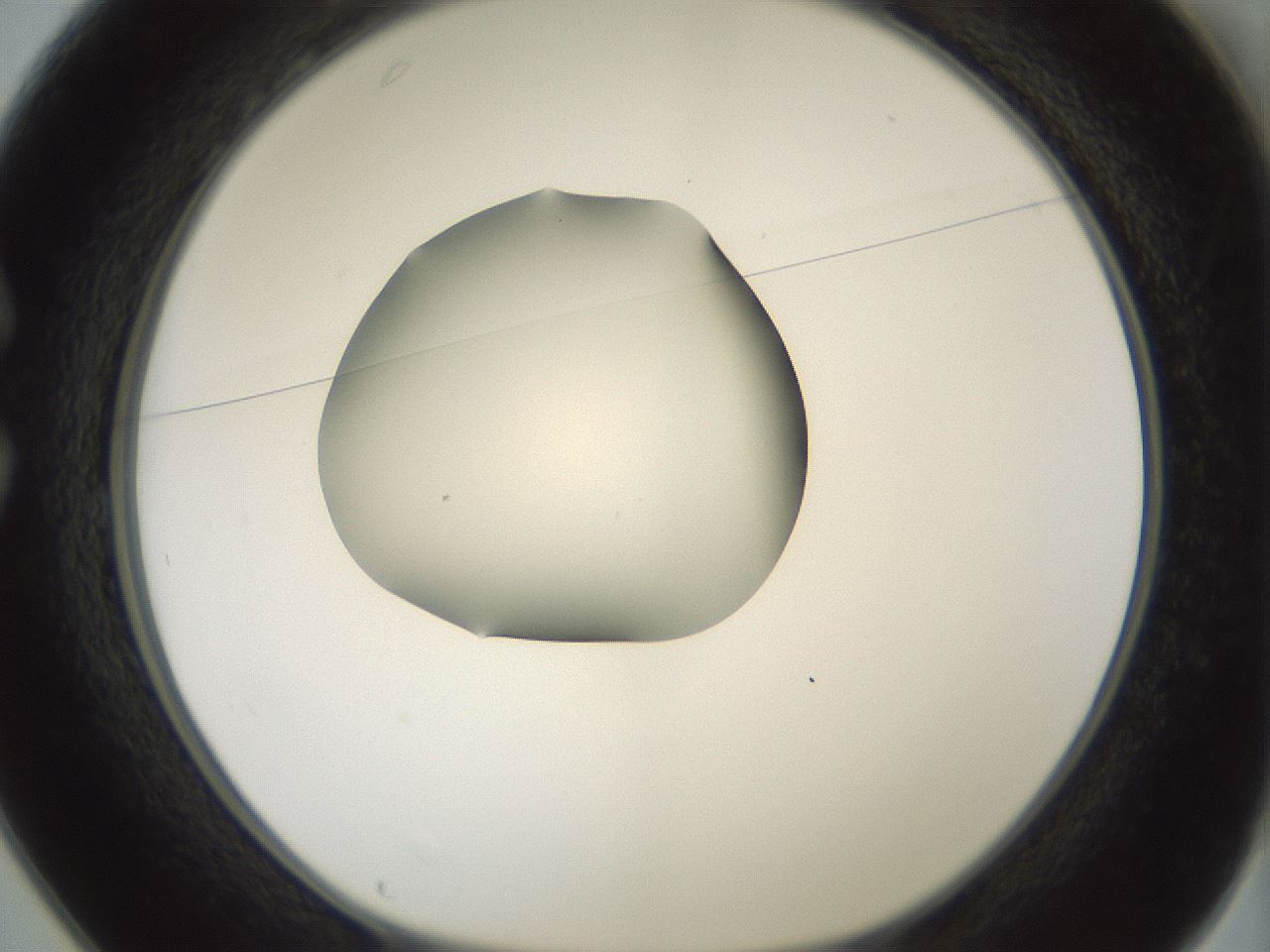 folderID407_plateID1407_batchID5149_wellNum25_profileID1_d1_r86058_ef.jpg