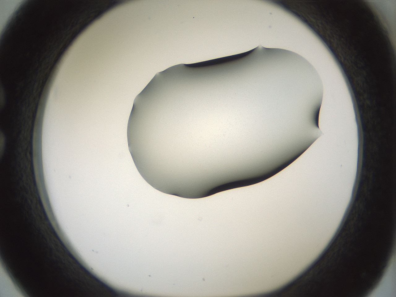 folderID407_plateID1407_batchID5149_wellNum26_profileID1_d1_r86059_ef.jpg